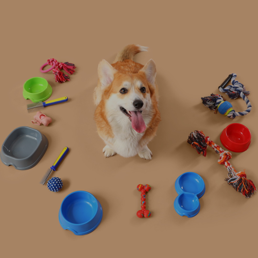 Accessoires