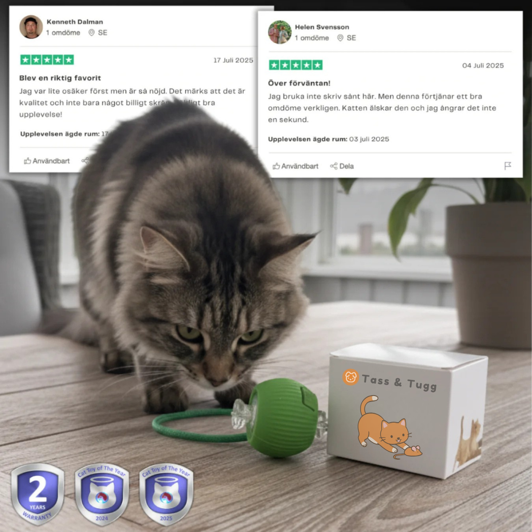 PootJacht™ – Actief spelen op het tempo van je kat