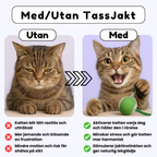 PootJacht™ – Actief spelen op het tempo van je kat