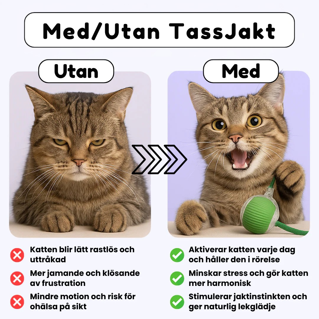 PootJacht™ – Actief spelen op het tempo van je kat