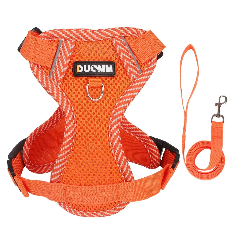Duomm® Hondentuig
